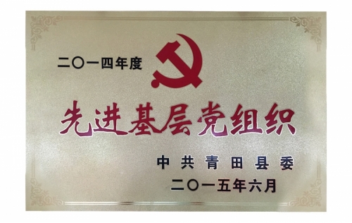 资质声誉-亚游集团ag8,电子式电能,智能电能表,智能开关,智能AMI系统,物联网解决方案,官方网站