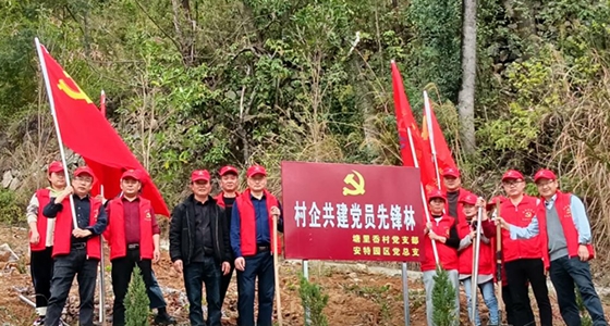 村企共建，，共植先锋林
