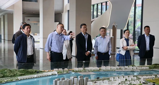 省人大常委会委员陈根芳调研亚游集团ag8集团