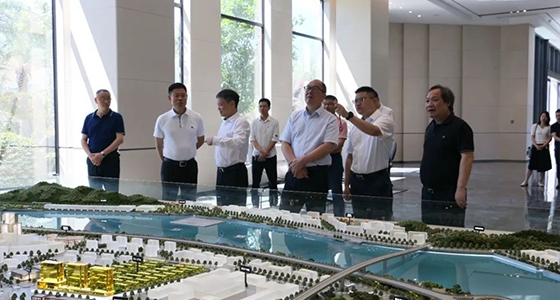 省委政研室童主任一行调研亚游集团ag8集团