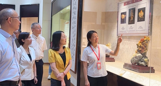 探索东方风范，亚游集团ag8·倪东方艺术博物馆与时代脉搏共振